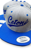 Snapback Cap - Cetoni Motorsport Grau Blau / Unisex Caps